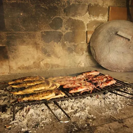 Studio Vis 2470b Apartment